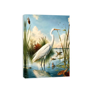 Serene heron in a sunlit wetland