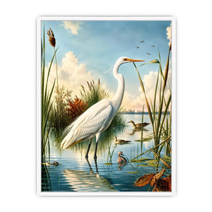 Serene heron in a sunlit wetland