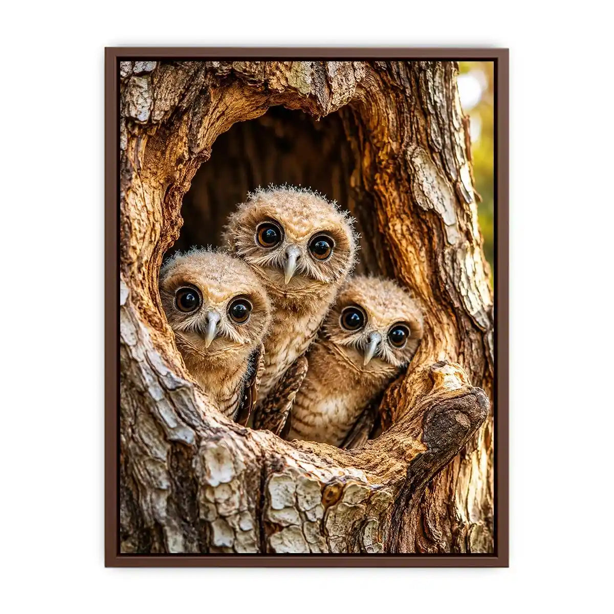Curious owlets in tree hollow