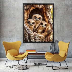 Curious owlets in tree hollow