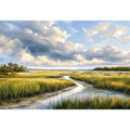 Serene marshland under stormy skies