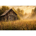Golden morning in a rural meadow