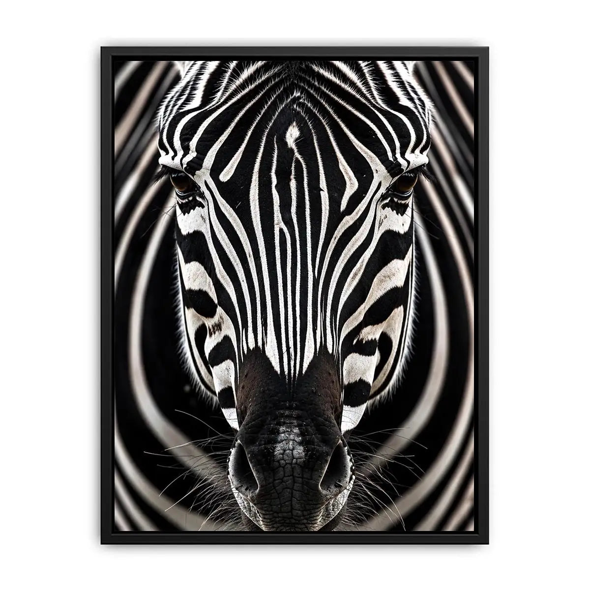 Zebra close-up with striking symmetry