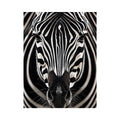 Zebra close-up with striking symmetry