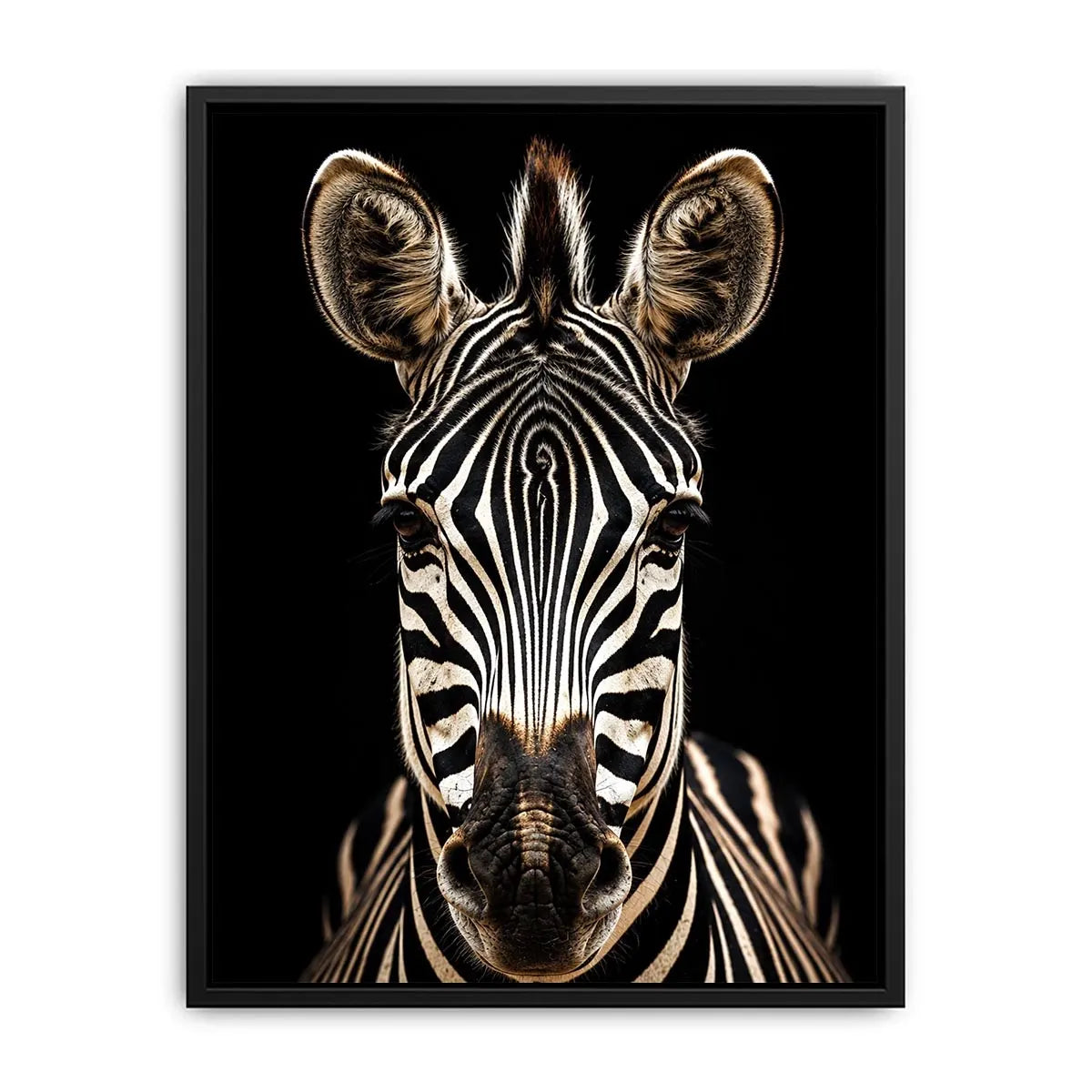 Zebra portrait in dramatic lighting