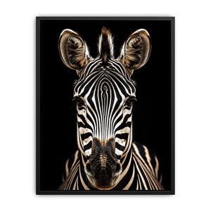 Zebra portrait in dramatic lighting