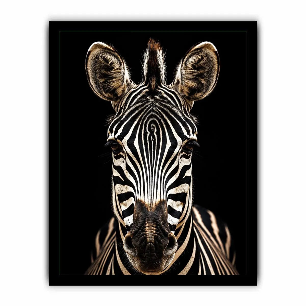 Zebra portrait in dramatic lighting