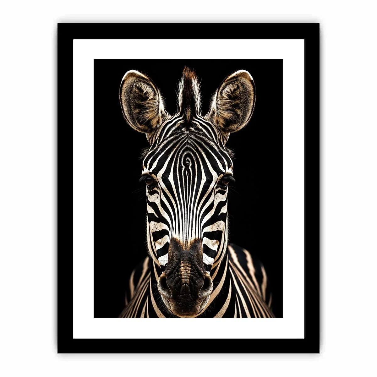 Zebra portrait in dramatic lighting