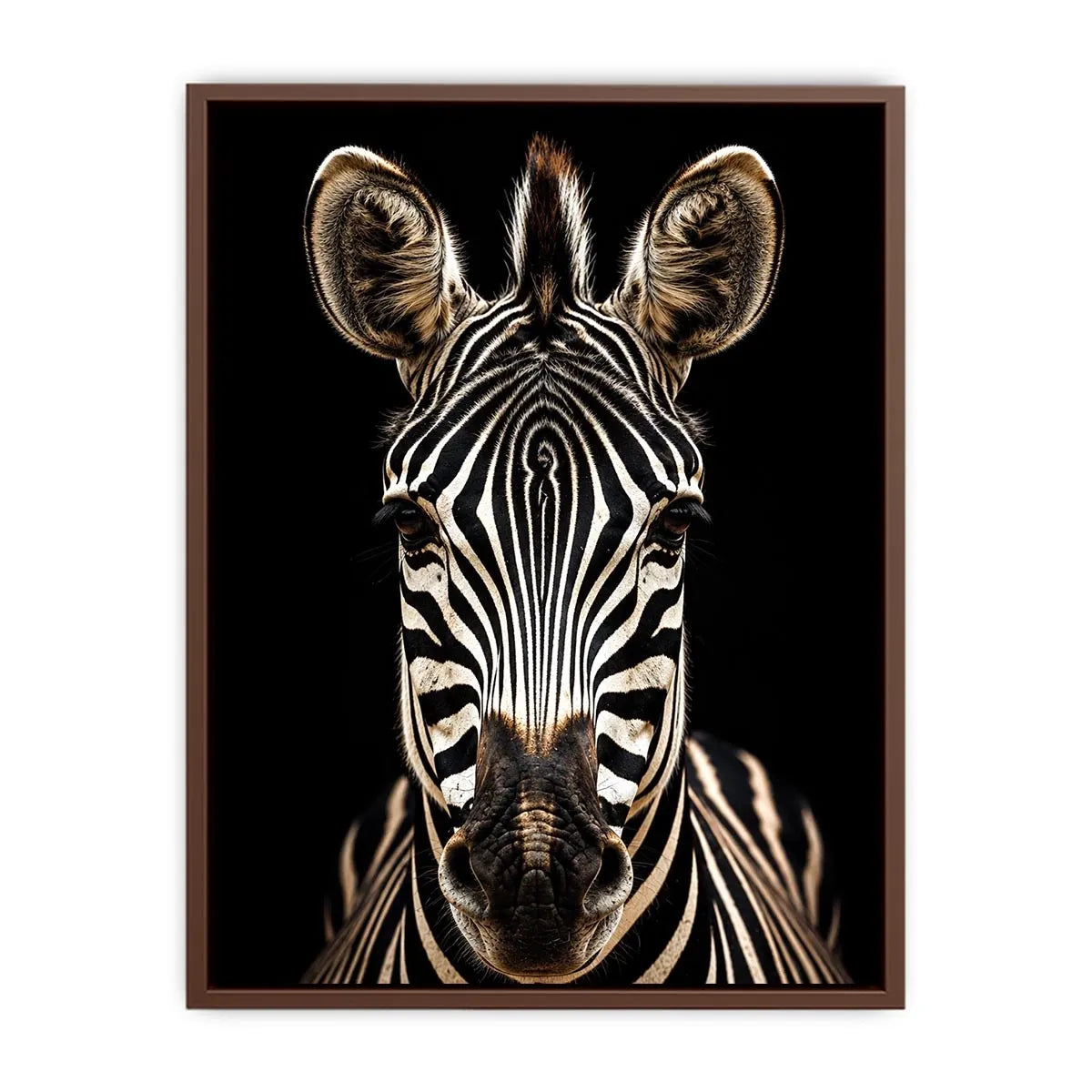Zebra portrait in dramatic lighting