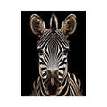 Zebra portrait in dramatic lighting