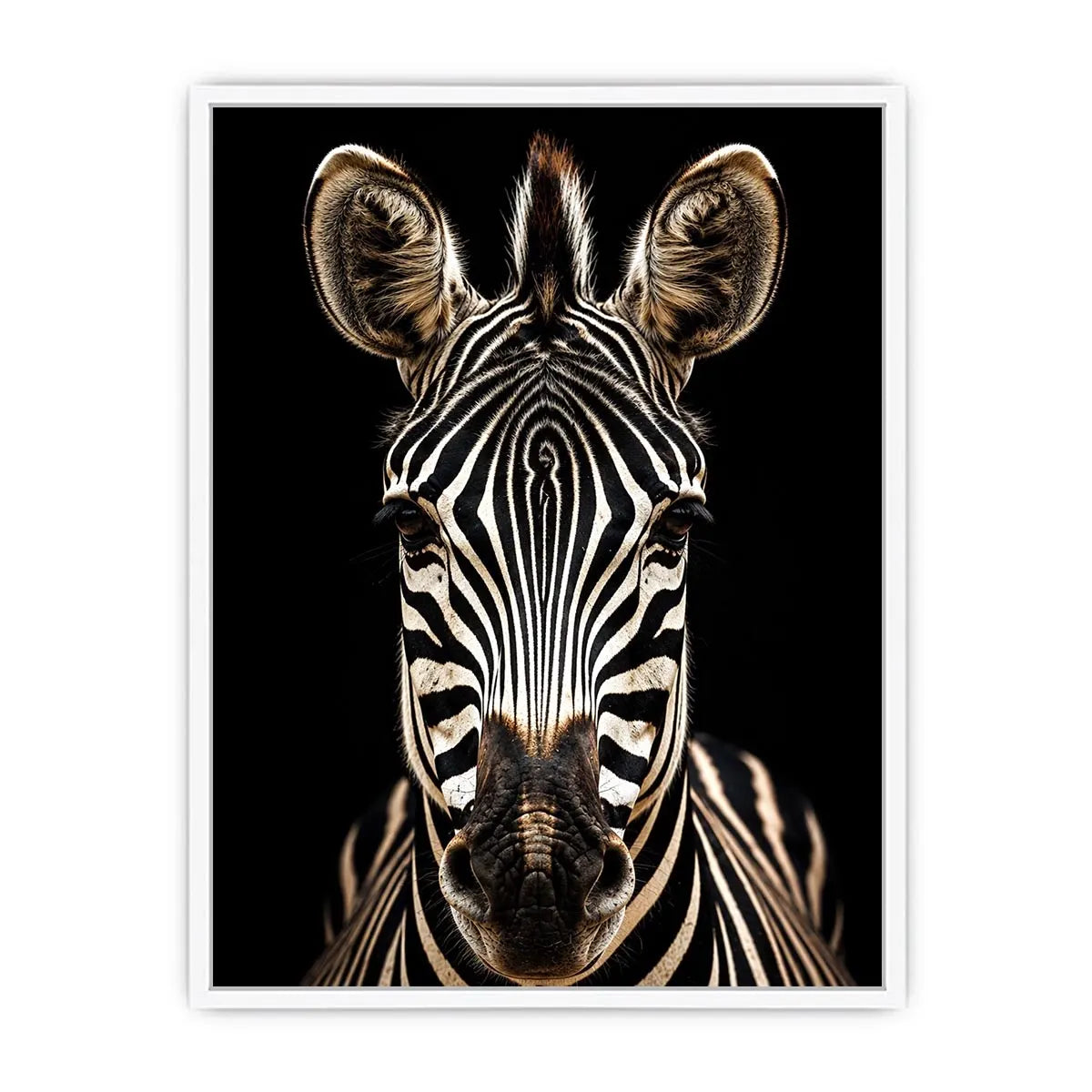 Zebra portrait in dramatic lighting