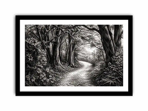 Misty forest path in grayscale