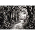 Misty forest path in grayscale