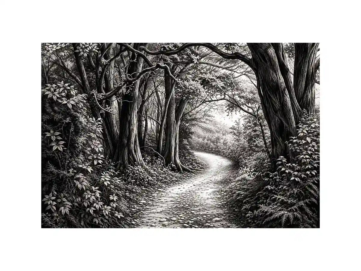 Misty forest path in grayscale