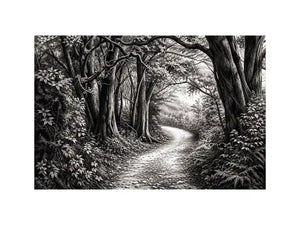 Misty forest path in grayscale