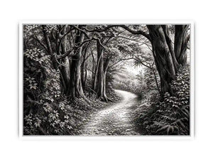 Misty forest path in grayscale