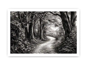 Misty forest path in grayscale