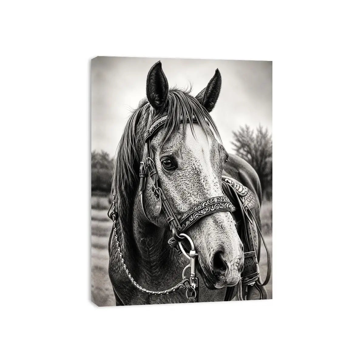 Serene equine portrait in black and white