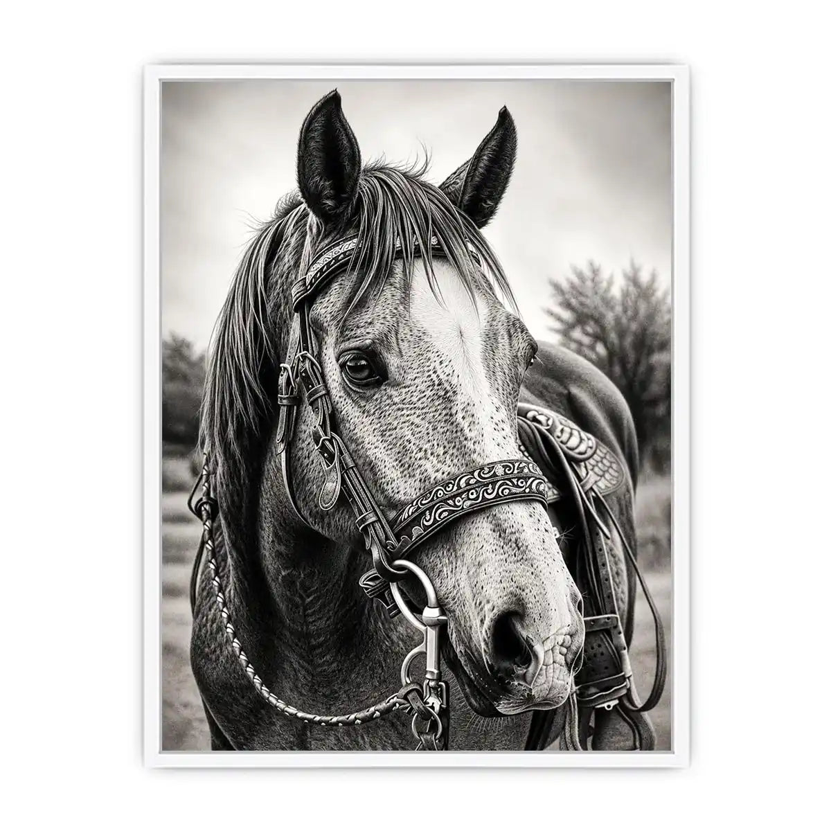 Serene equine portrait in black and white
