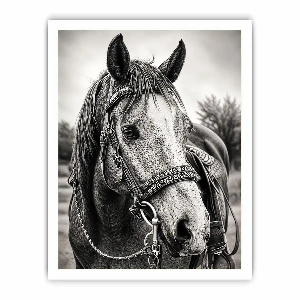 Serene equine portrait in black and white