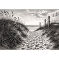 Sandy dune path to the sea