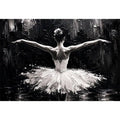 Graceful dance in monochrome light