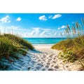 Sunny beach path to turquoise waves