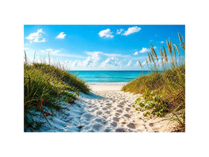 Sunny beach path to turquoise waves