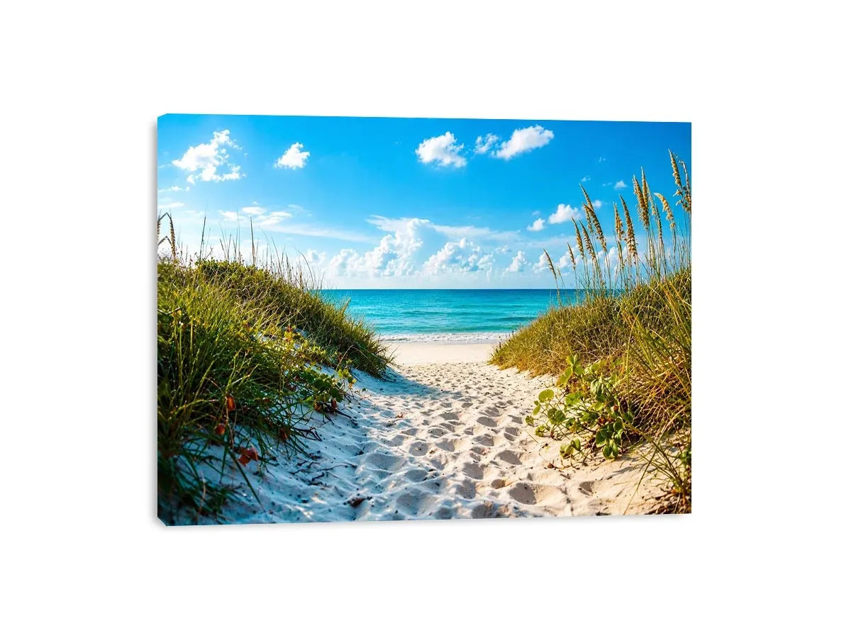 Sunny beach path to turquoise waves