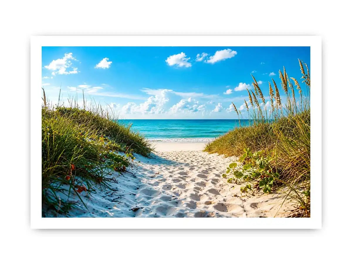 Sunny beach path to turquoise waves