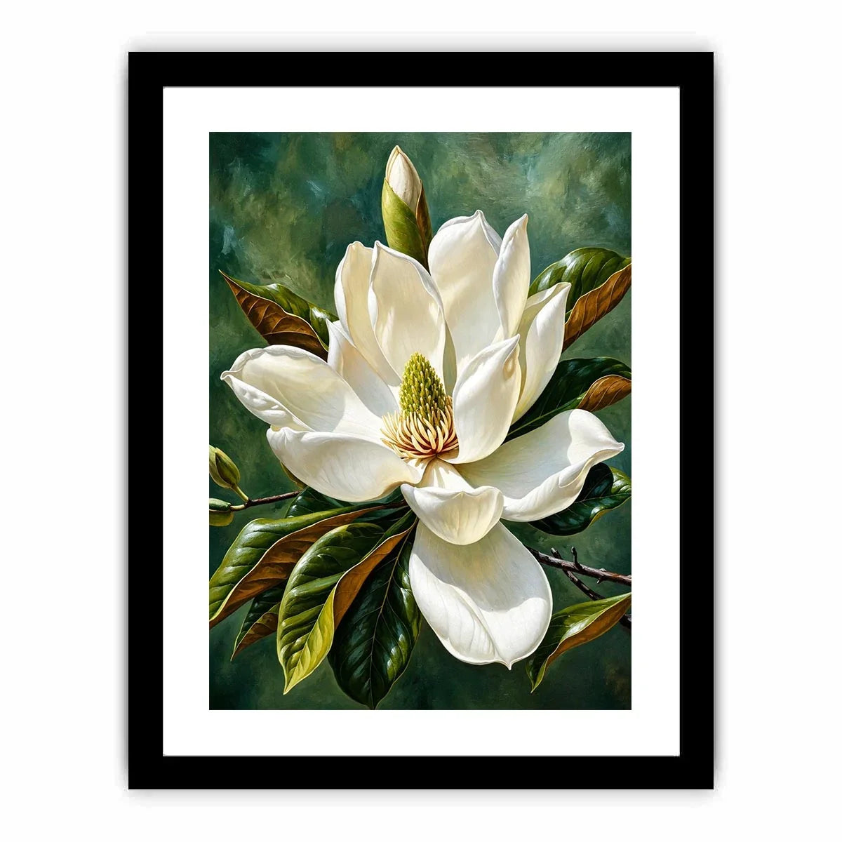 Magnolia bloom in soft light