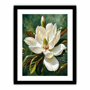 Magnolia bloom in soft light