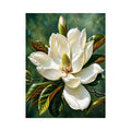 Magnolia bloom in soft light