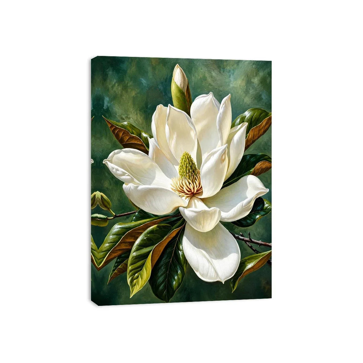 Magnolia bloom in soft light