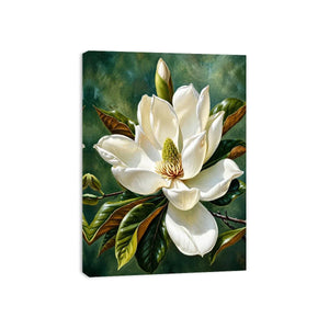 Magnolia bloom in soft light