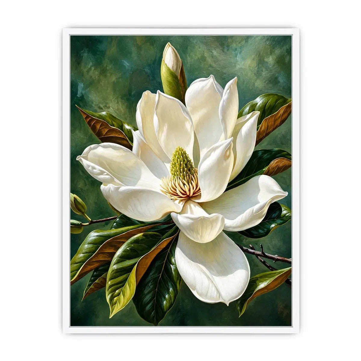 Magnolia bloom in soft light