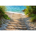 Sunny coastal path to the sea