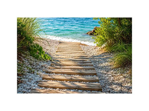 Sunny coastal path to the sea
