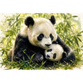 Tender panda embrace in bamboo grove