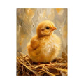 Baby Chicken Canvas Print