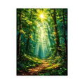 Forest Trees Canvas Print