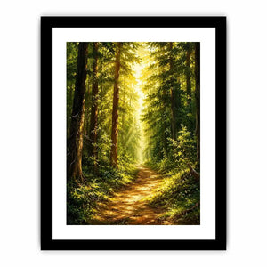 Forest Trees Path Canvas Print