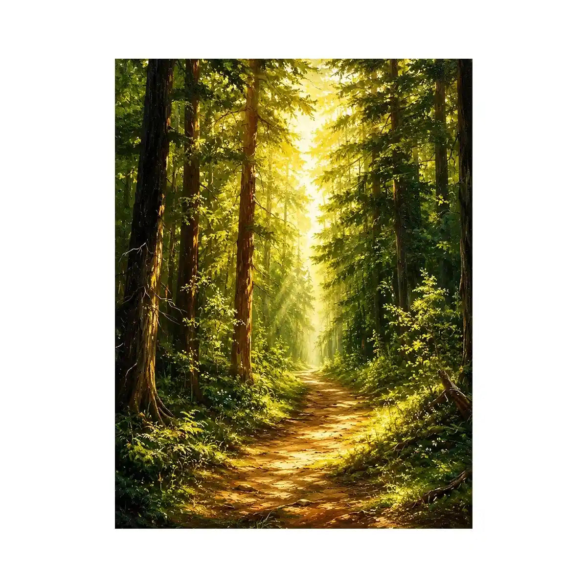 Forest Trees Path Canvas Print