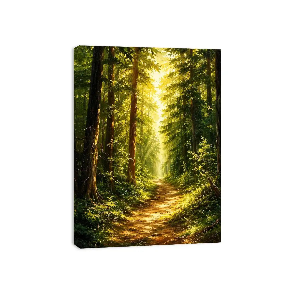 Forest Trees Path Canvas Print