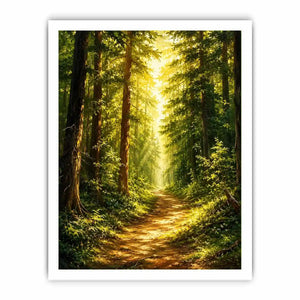 Forest Trees Path Canvas Print