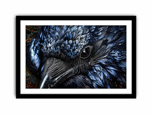 Black Cock Canvas Print
