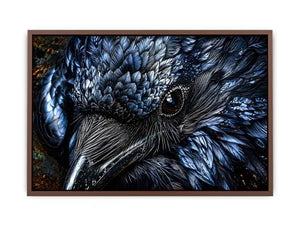 Black Cock Canvas Print