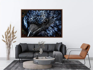 Black Cock Canvas Print