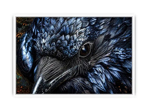 Black Cock Canvas Print