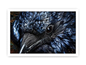 Black Cock Canvas Print